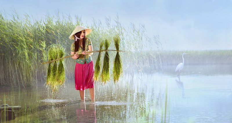девушка, женский портрет, сборщица риса, поле, вода, вьетнам, азия, трава, шляпа, небо, трава, жанр, постановка Сборщица риса фото превью