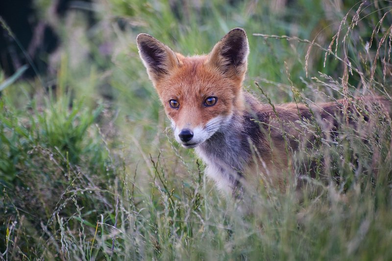 2019 фото превью