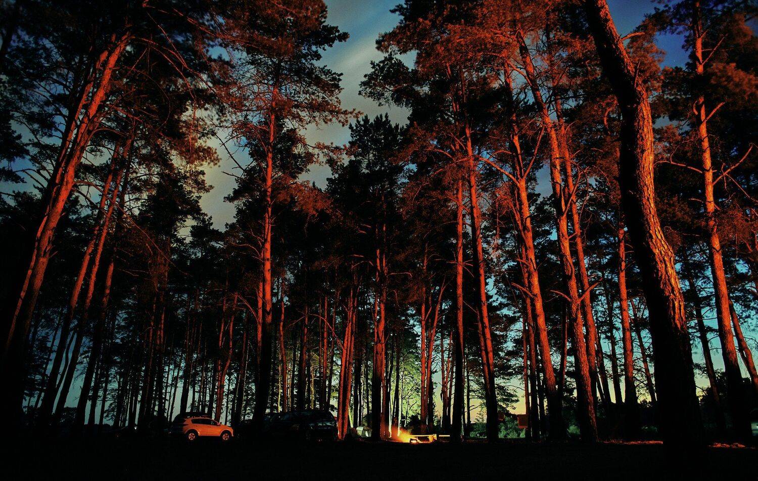 , Александр Фанковин