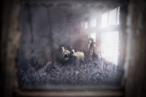 Ural through the window