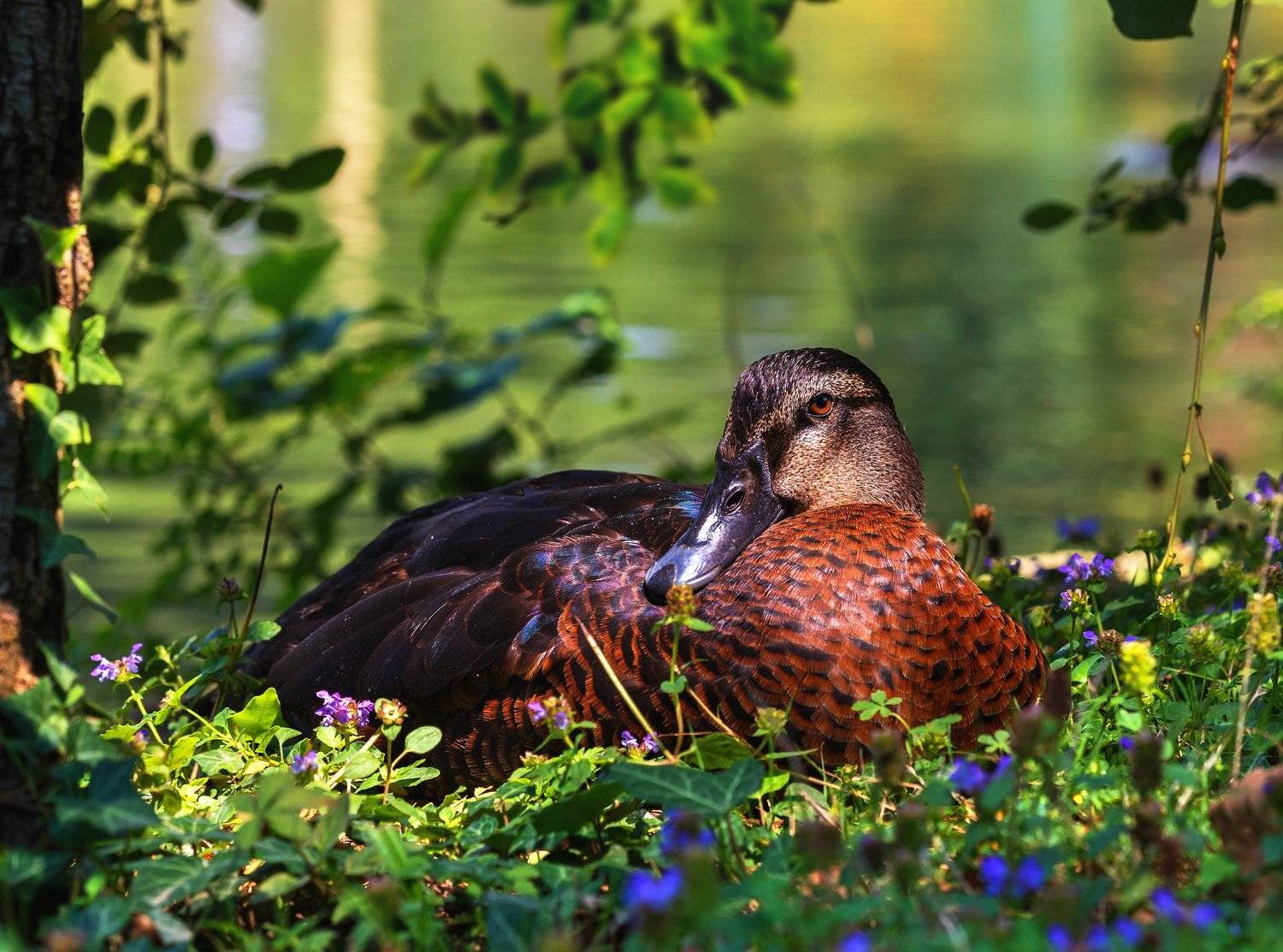 , Олег Богданов