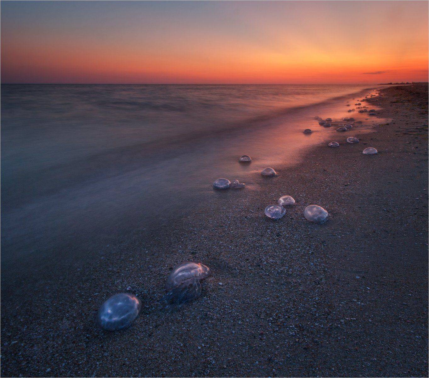 , Михаил Гапонов