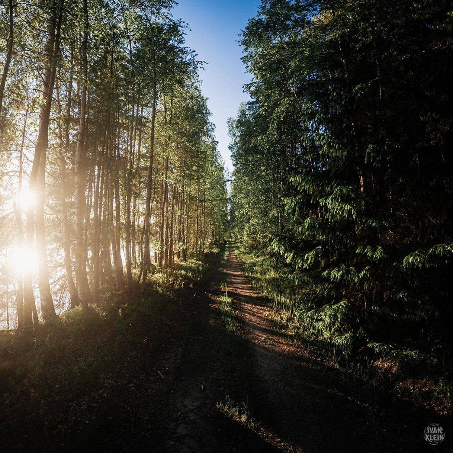 озеро, вода, карьер, лето, природа, лес, деревья, небо, день, дорога, тропа, берег, пейзаж, Иван Клейн