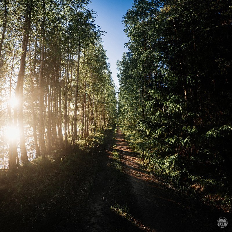 озеро, вода, карьер, лето, природа, лес, деревья, небо, день, дорога, тропа, берег, пейзаж Тропа в лесах фото превью