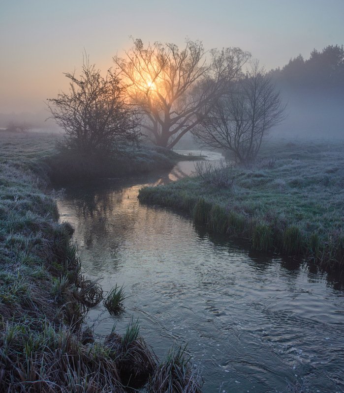 Утро... фото превью