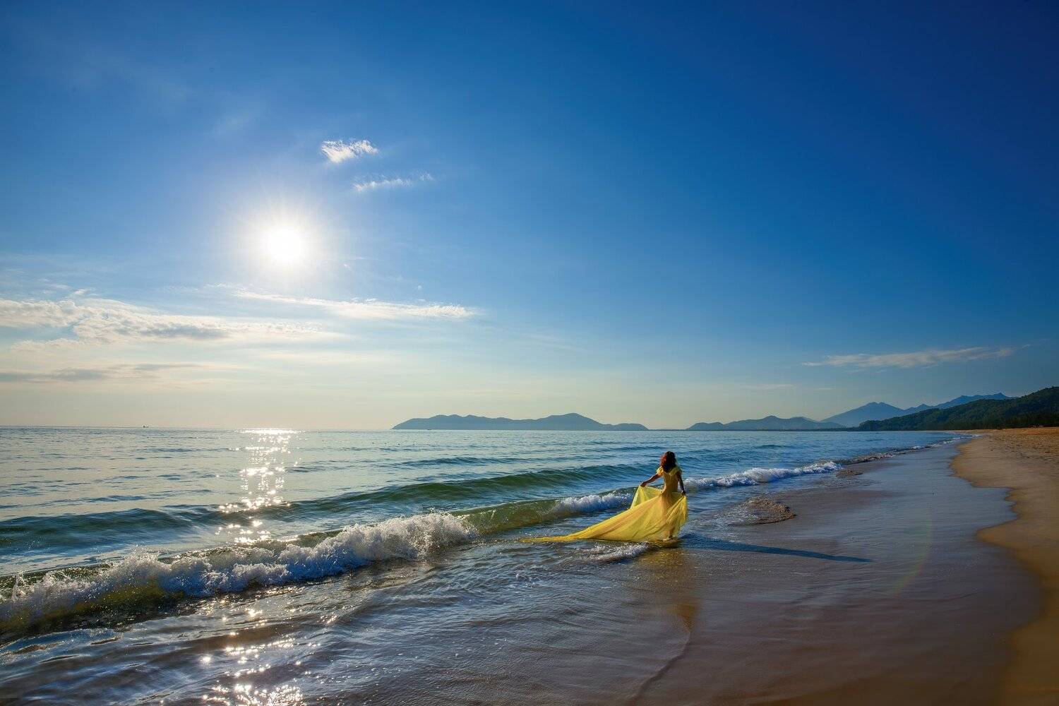 , Nguyễn Ho&agrave;ng Long
