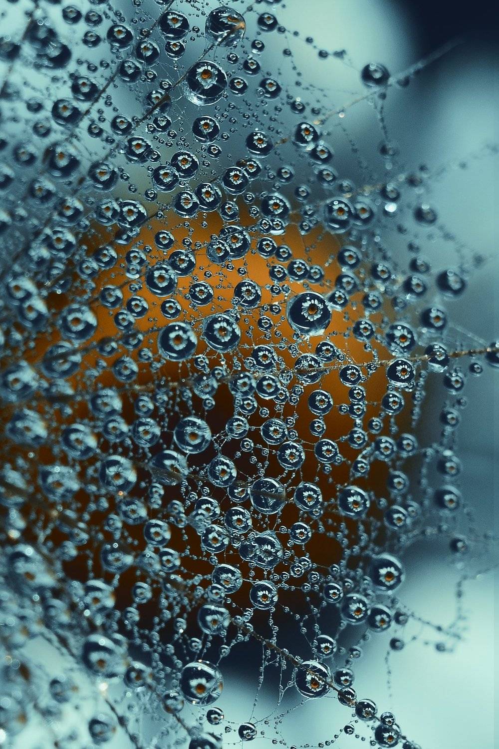 , Воинкова Ирина