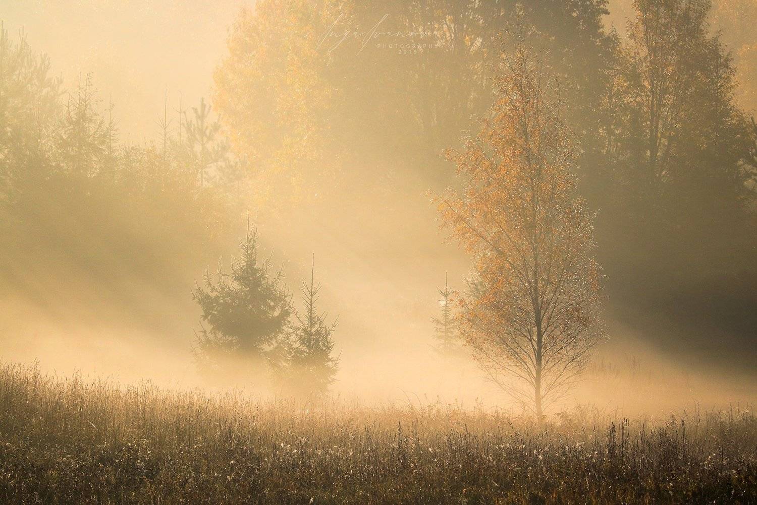 испарение восхода, Инга Иванова