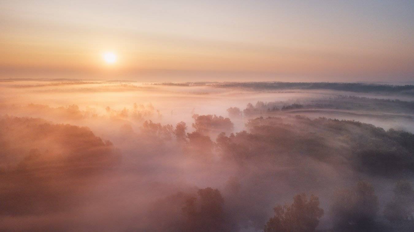 беларусь, лето, утро, рассвет, туман, река, июль, Вейзе Максим