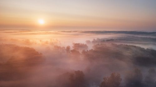 Летнее Утро