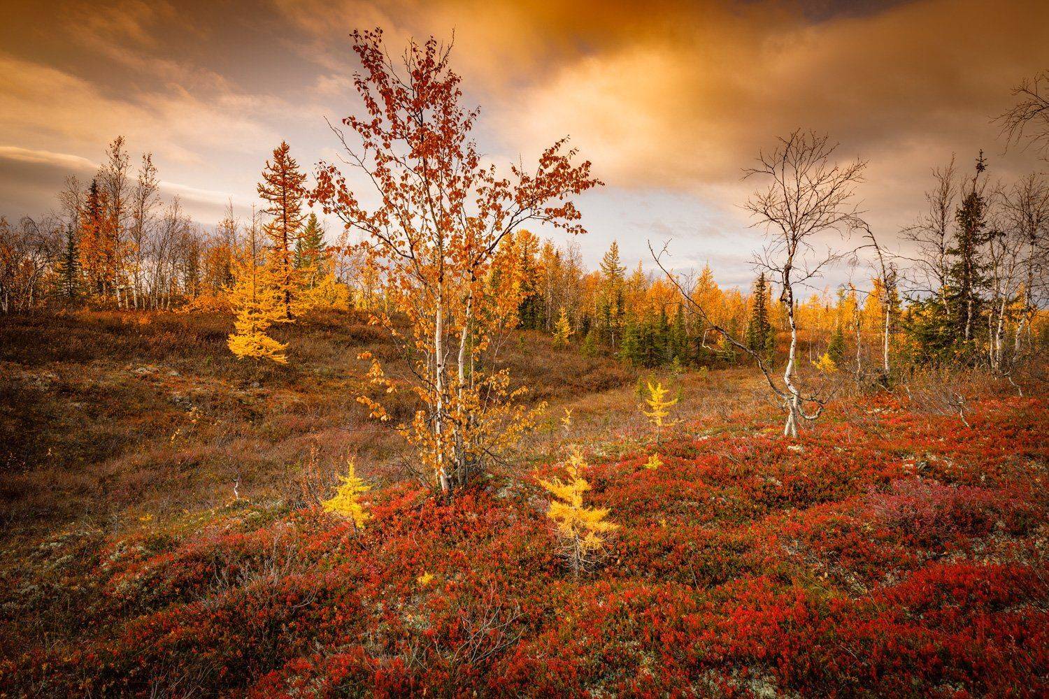 , Евгений Кужилев