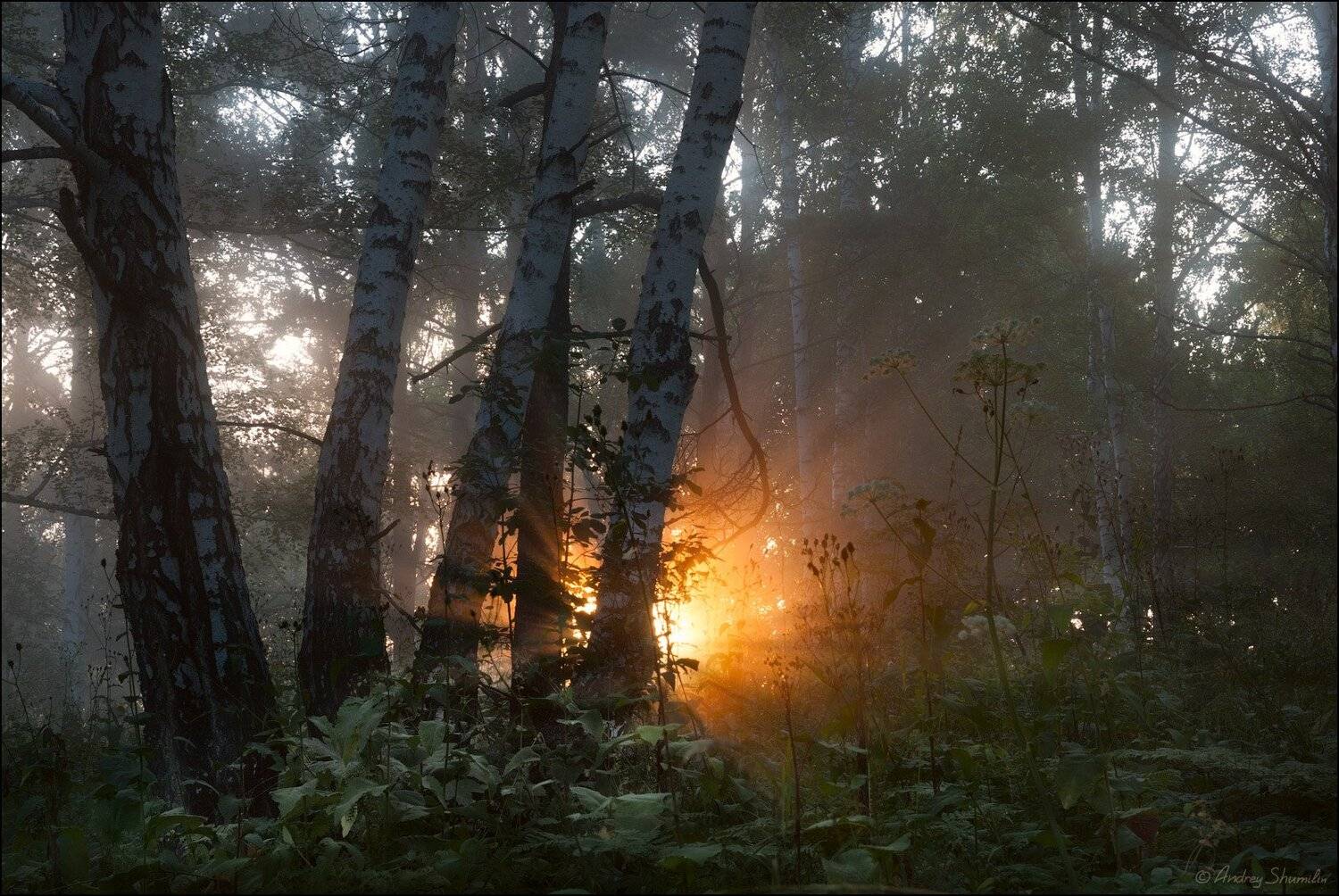 , Андрей Шумилин