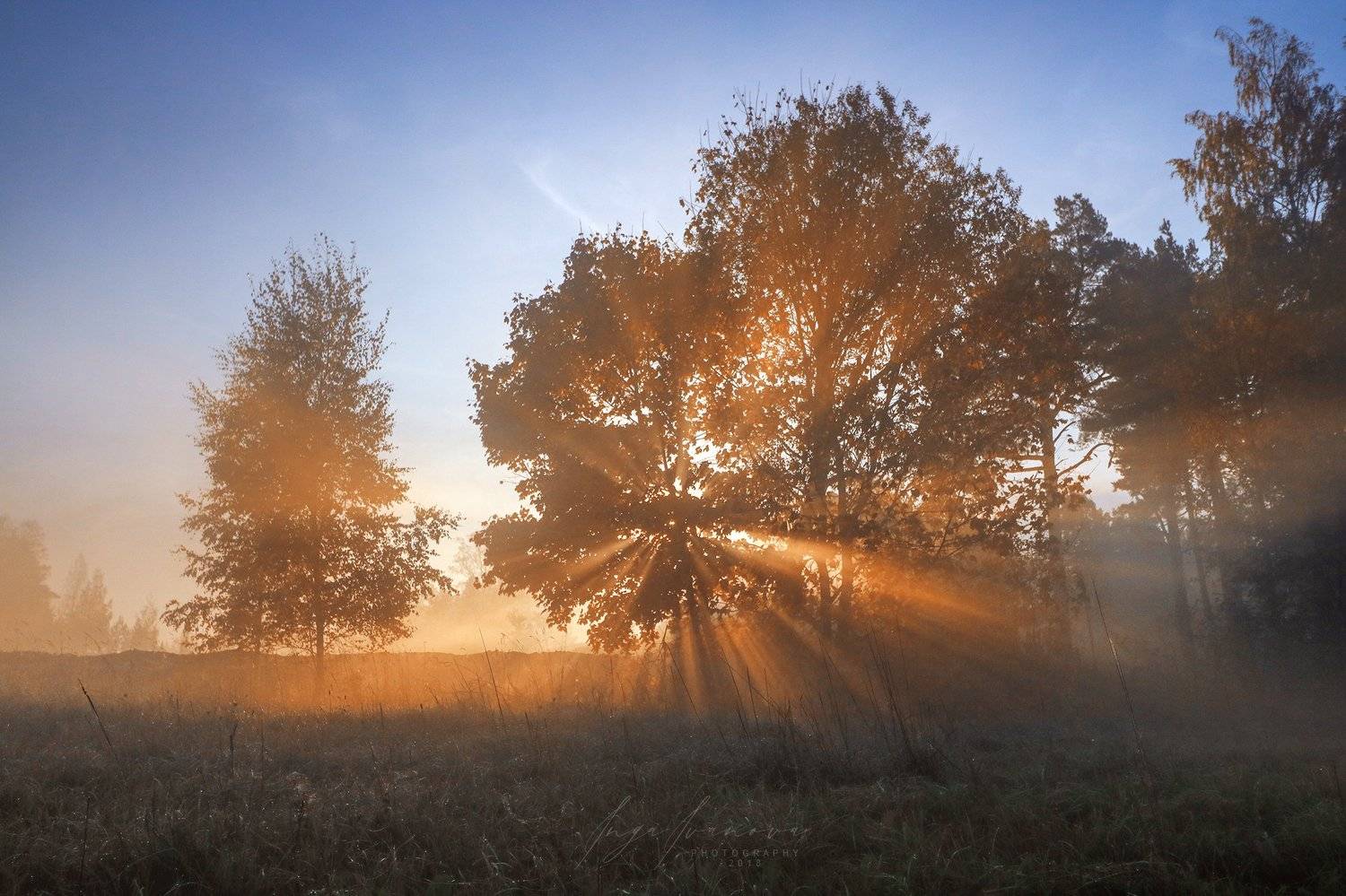 , Инга Иванова