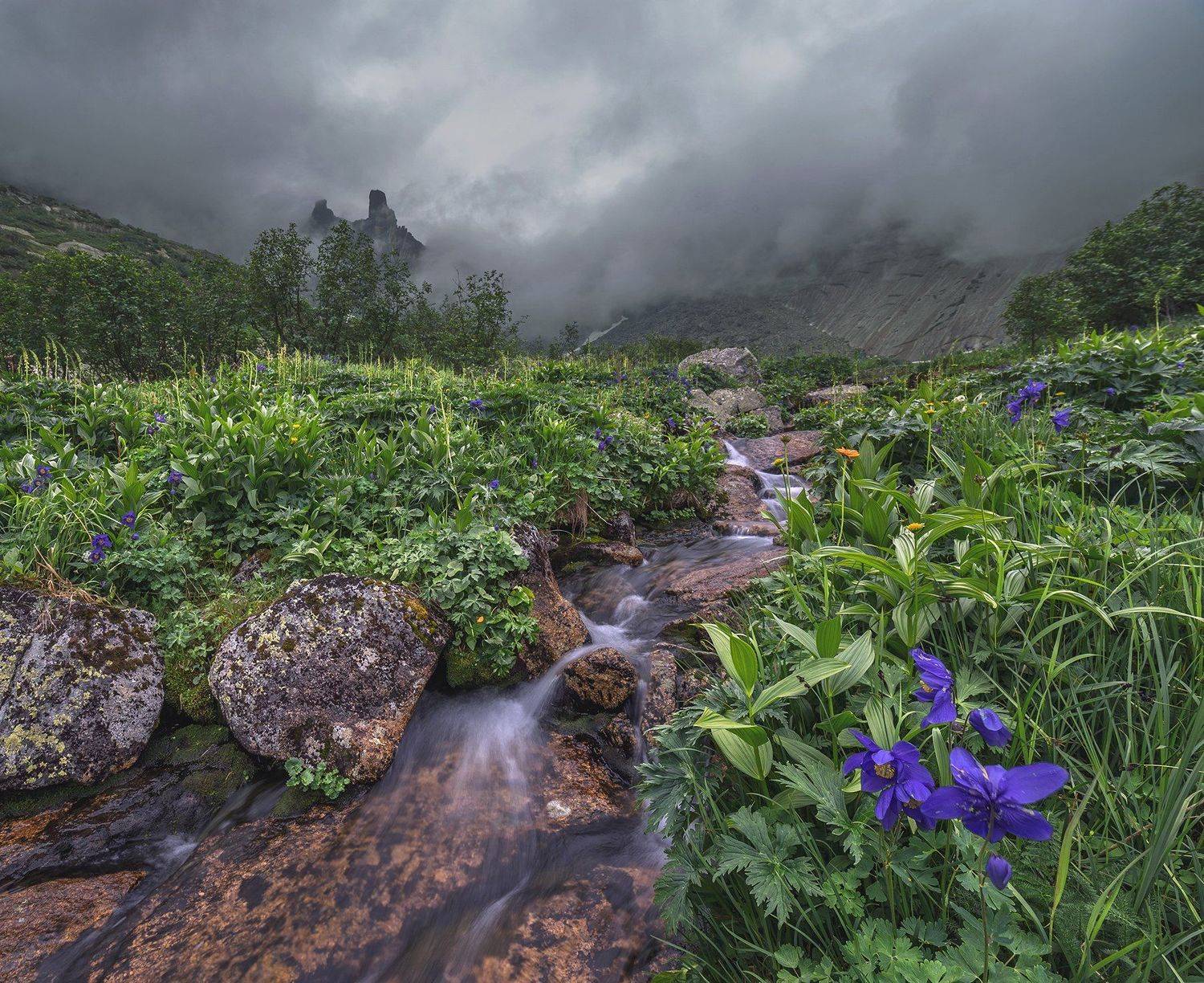 природа, пейзаж, горы, цветы, небо, Дамир Белоколенко