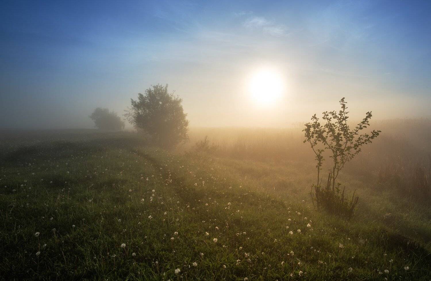 , Александр Бредихин