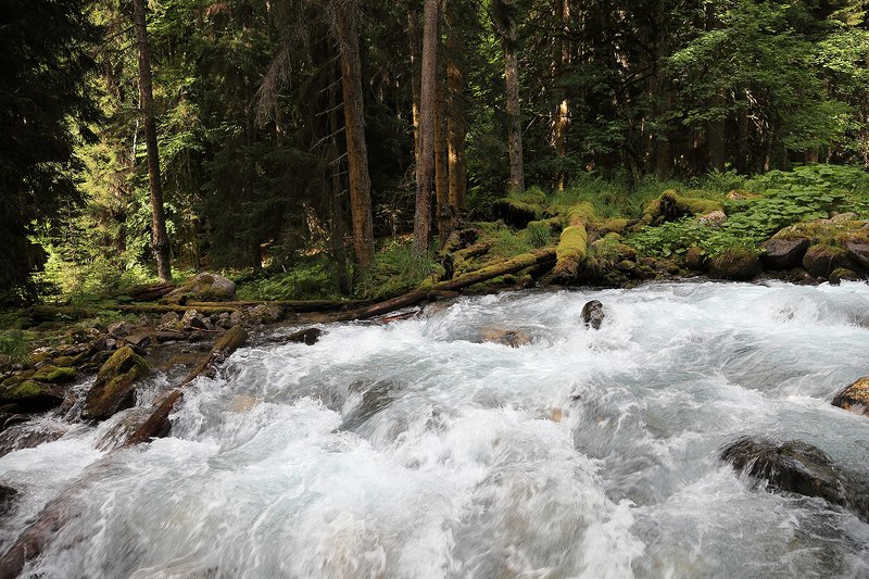 тебердинский, заповедник, кчр, карачаево, черкессия, домбай  фото превью