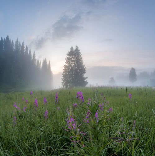 Туманный вечер после грозы