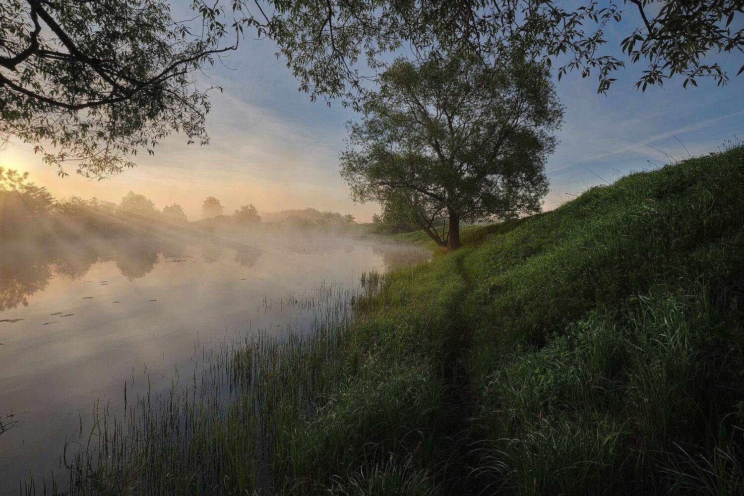 , Григорий Бельцев