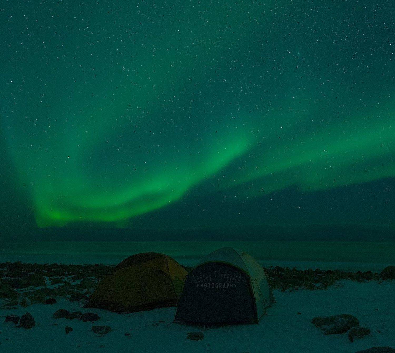 лофотены, северное сияние, lofoten, aurora, Андрей Сенкевич