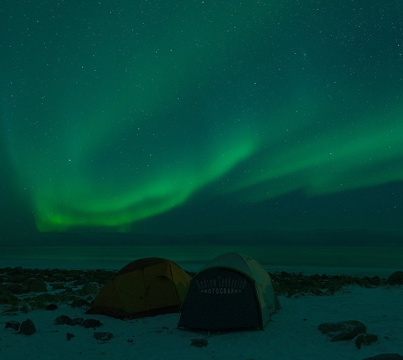 лофотены, северное сияние, lofoten, aurora Сияние 6, с палатками :) фото превью