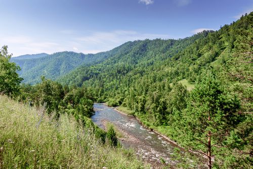 Верховье реки Чемал .