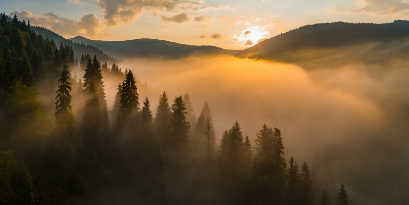 карпаты, туман, рассвет Запах осени фото превью