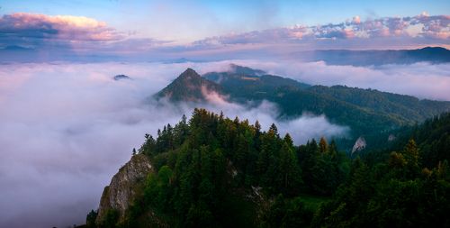 above the clouds