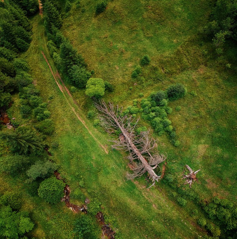 Fallen giant фото превью