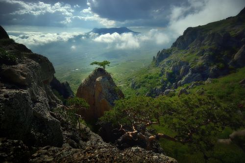 Выше облаков