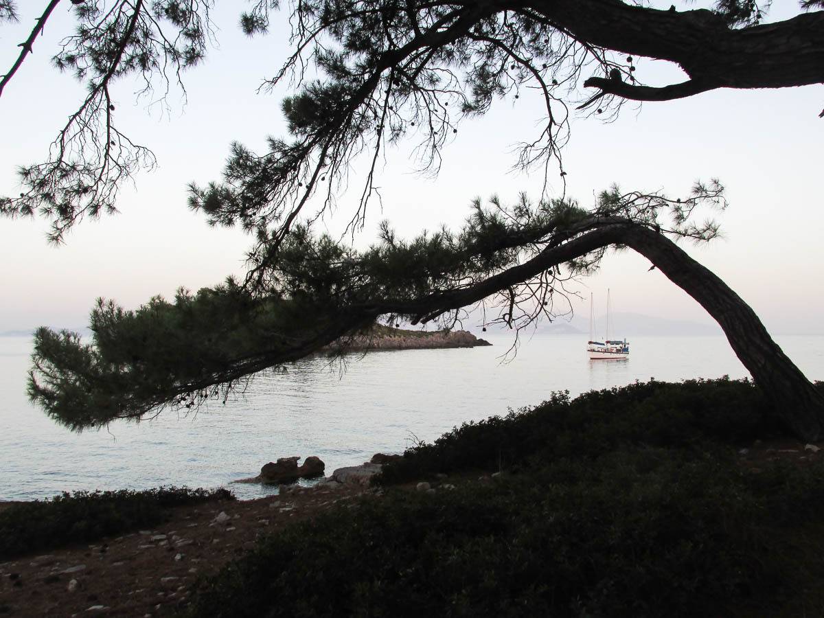 море, берег, дерево, лодка, парусник, средиземное море, Сергей Козинцев