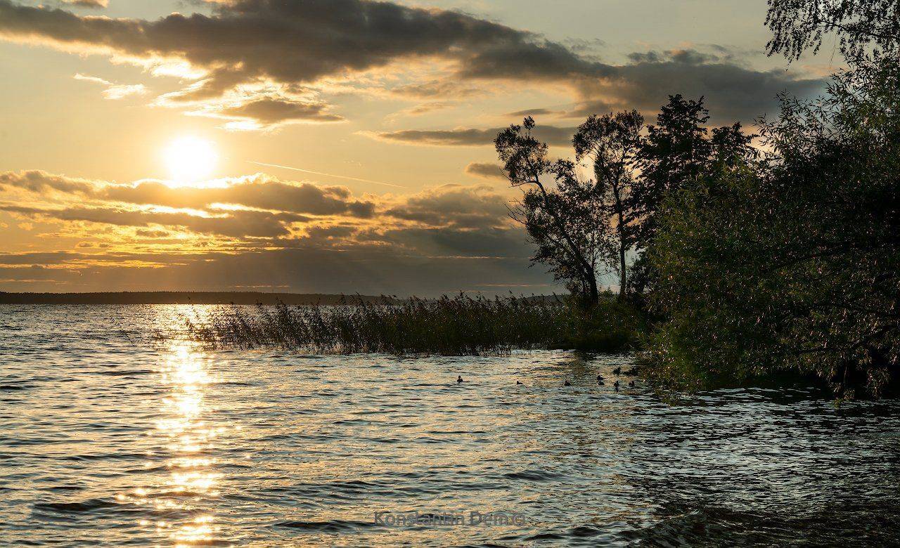 , Константин Дэм