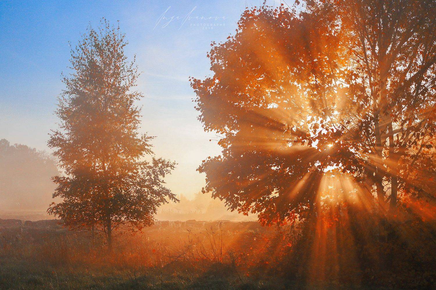 восход в тумане, Инга Иванова