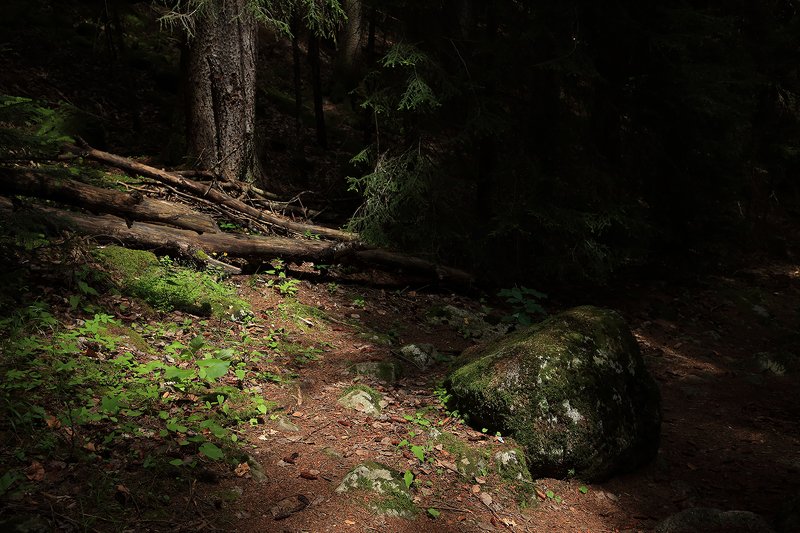 тебердинский, заповедник, кчр, карачаево, черкессия, домбай  фото превью