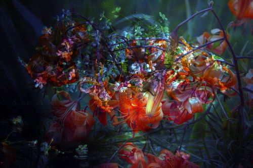 red lily and others flowers