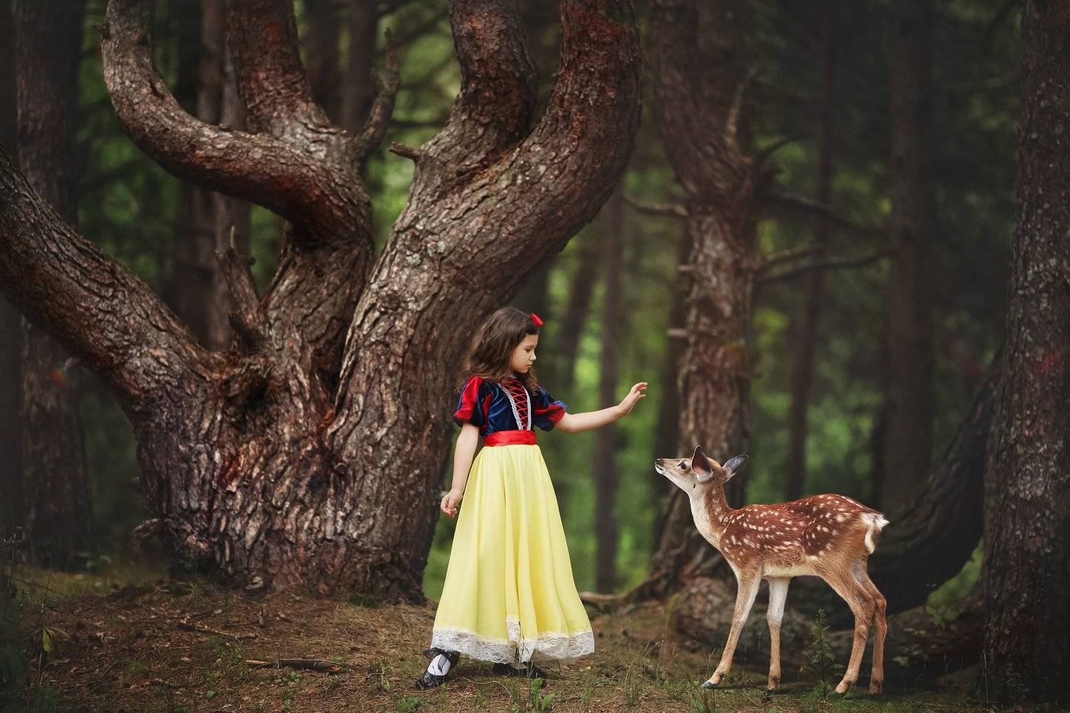 , Валерия Касперова