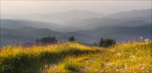 Лето в Закарпатье ..