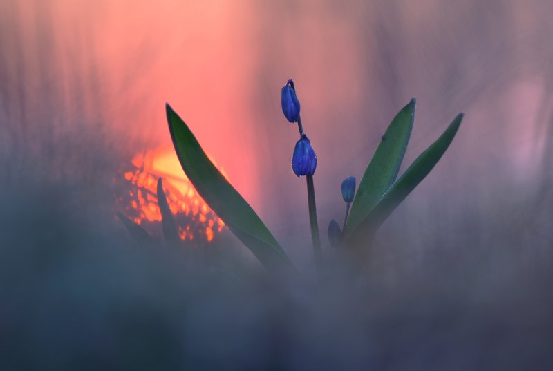 ... фото превью