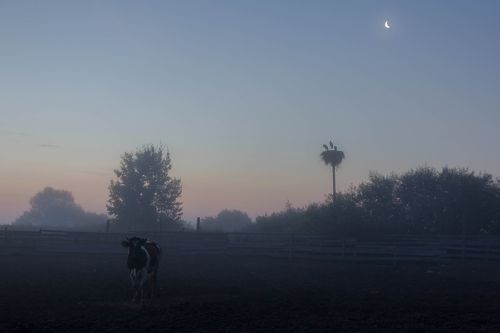 Просыпалось утро