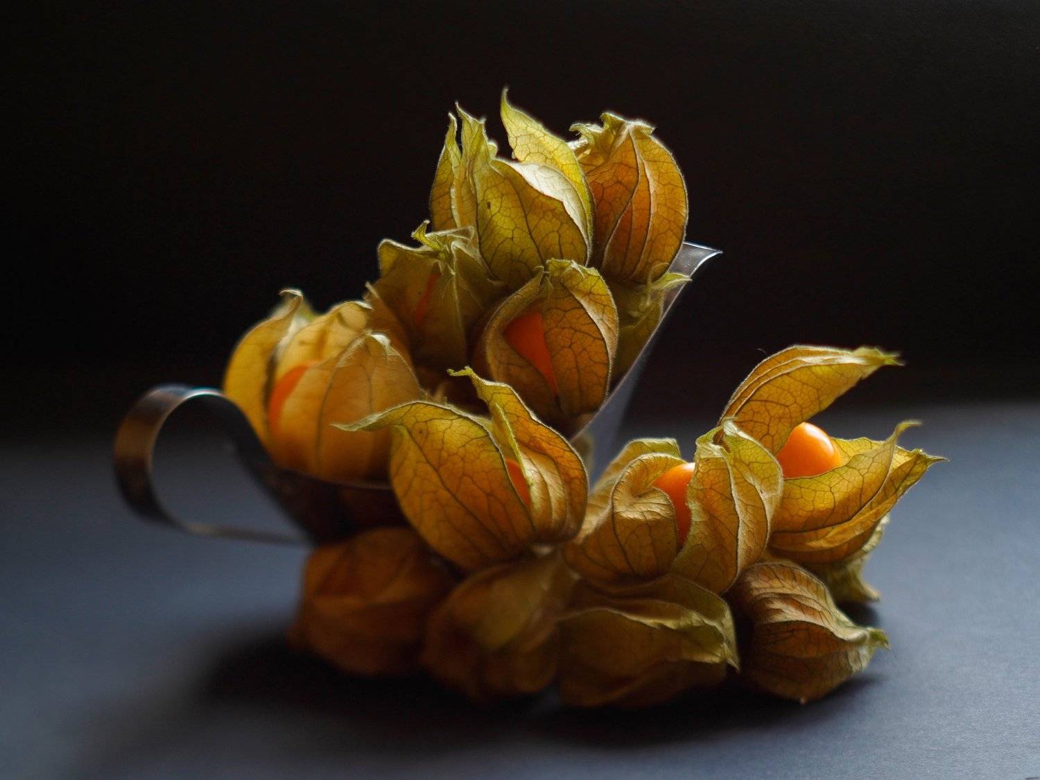 , Димитър Стоянов