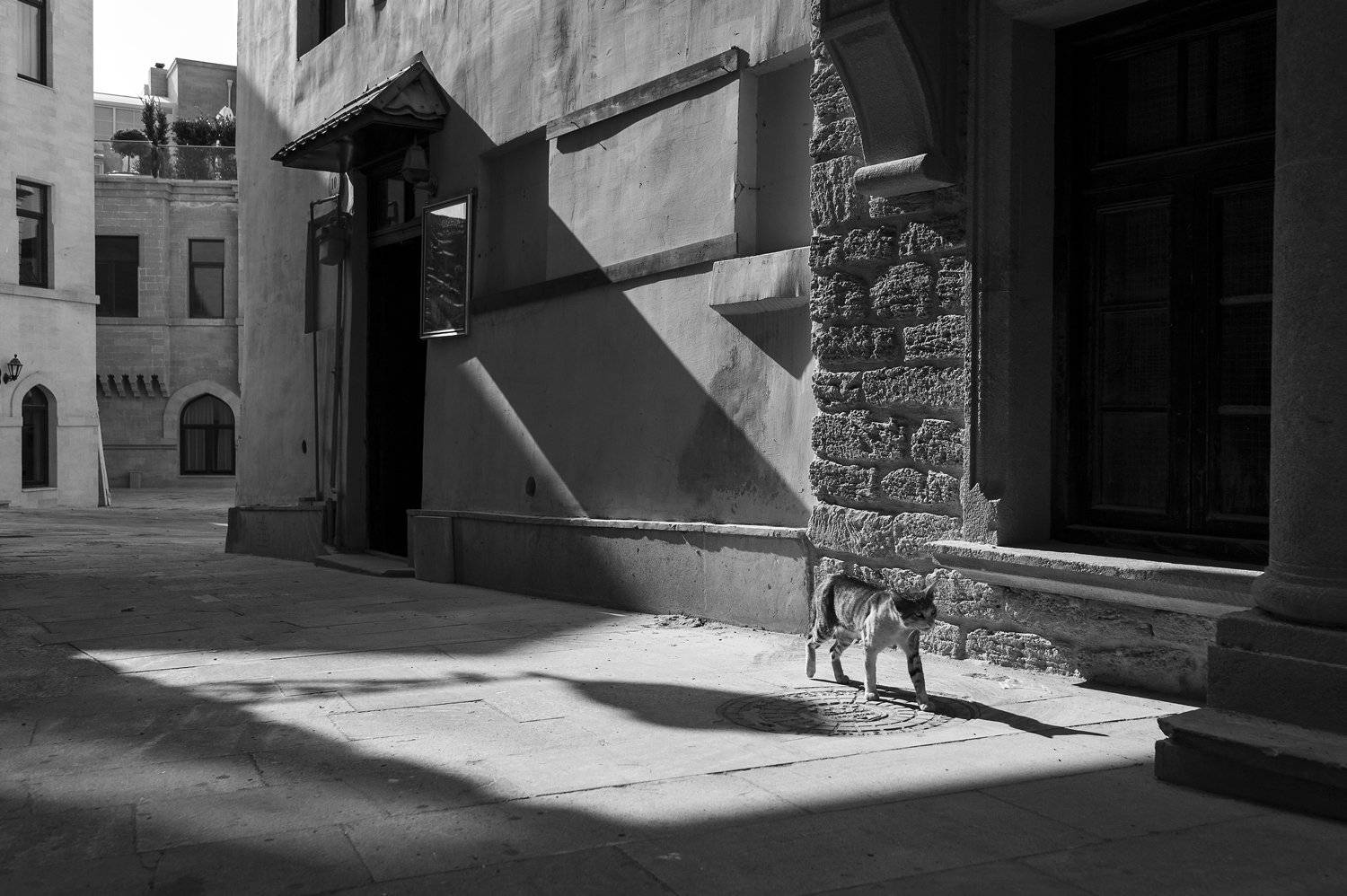 , Денис Свечников