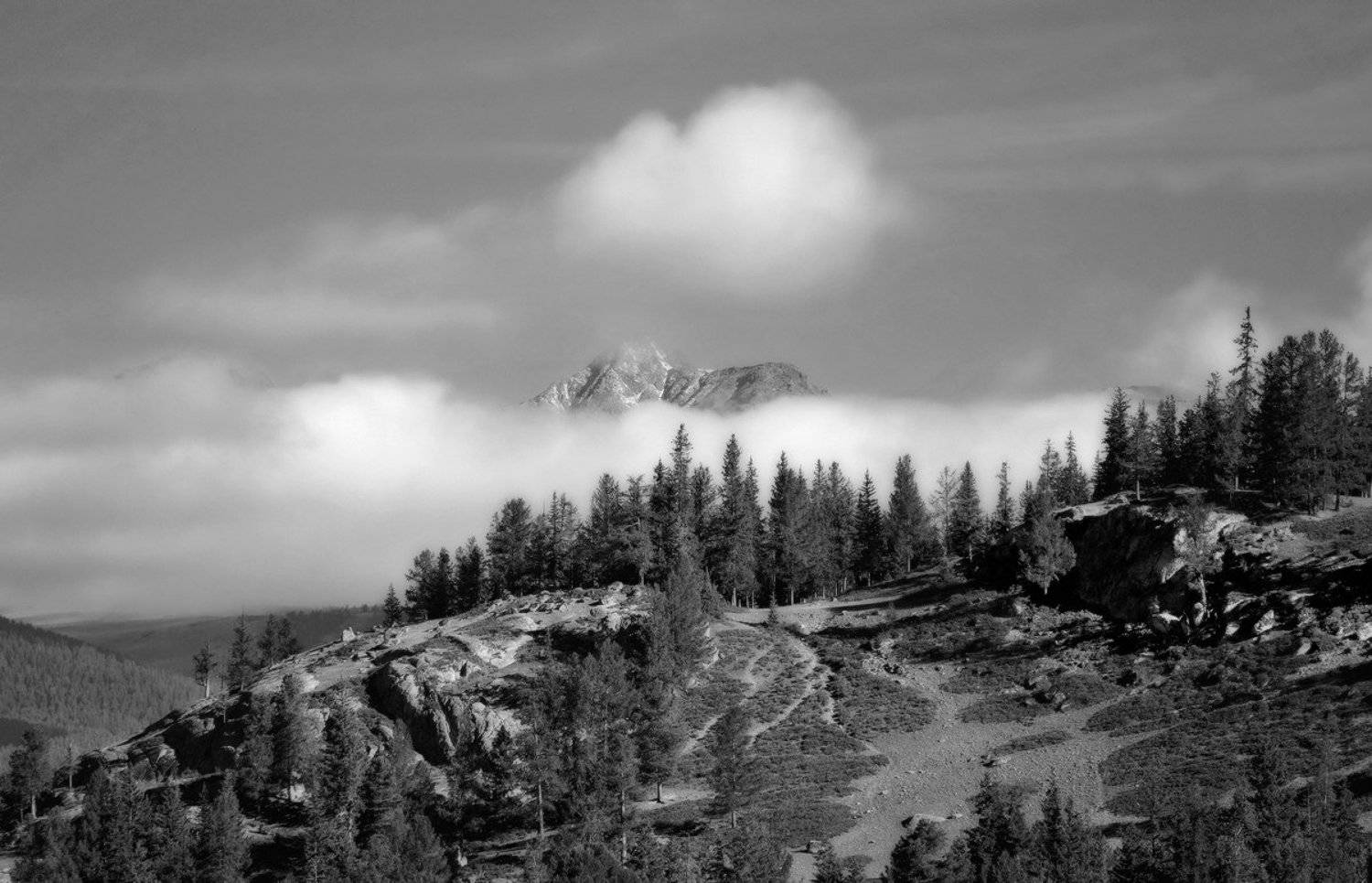 , Ольга Челдыкова