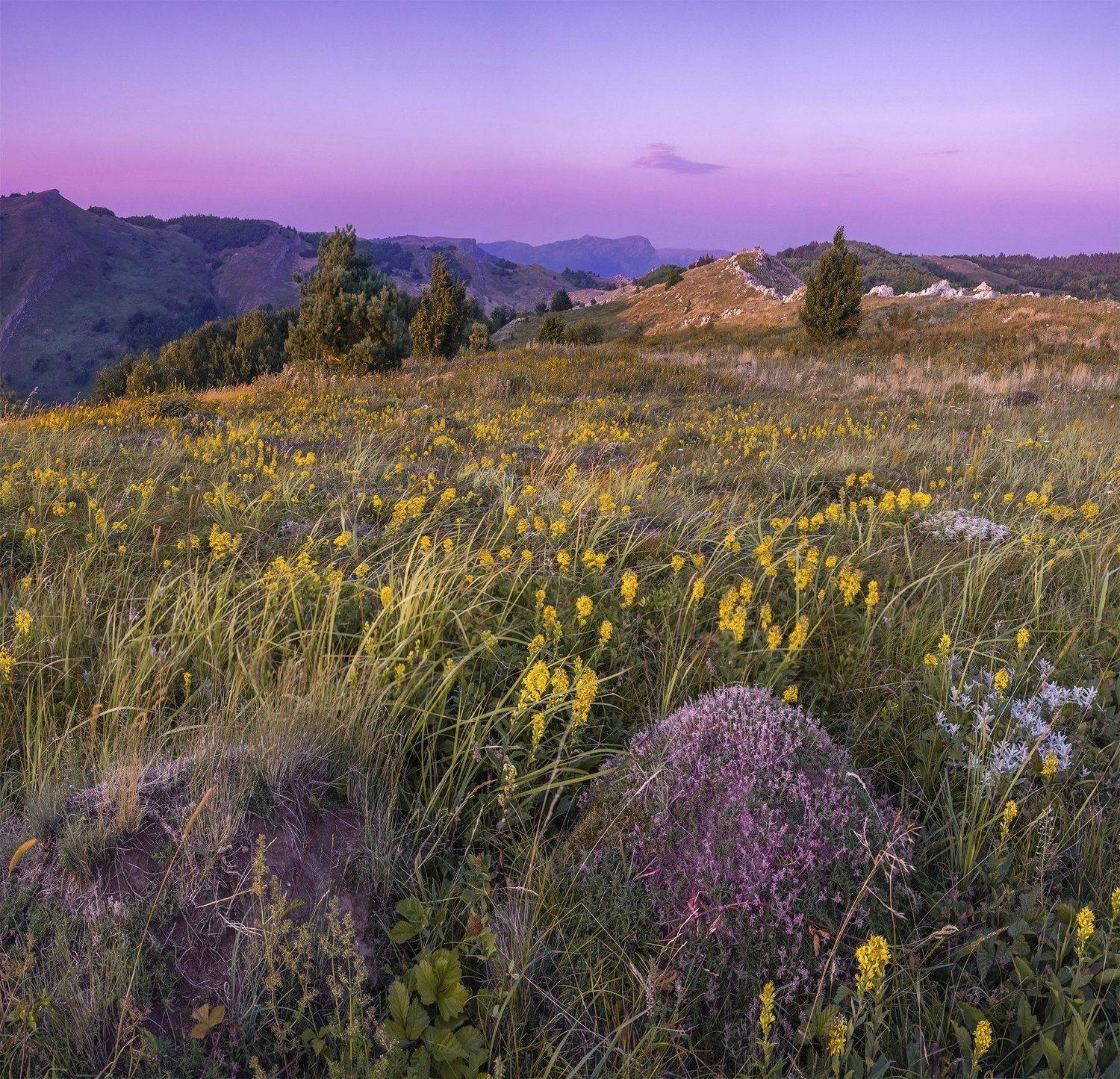 , Станислав Савицкий