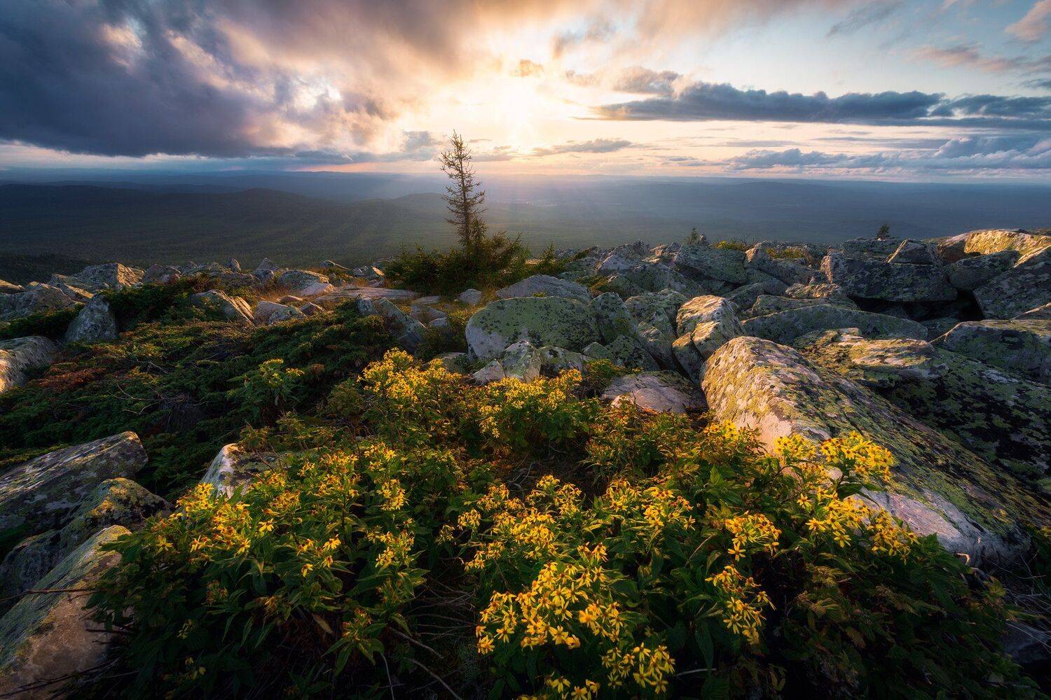 , Михаил Туркеев