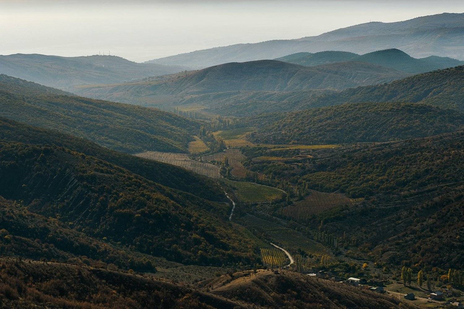 , Олег Логунов