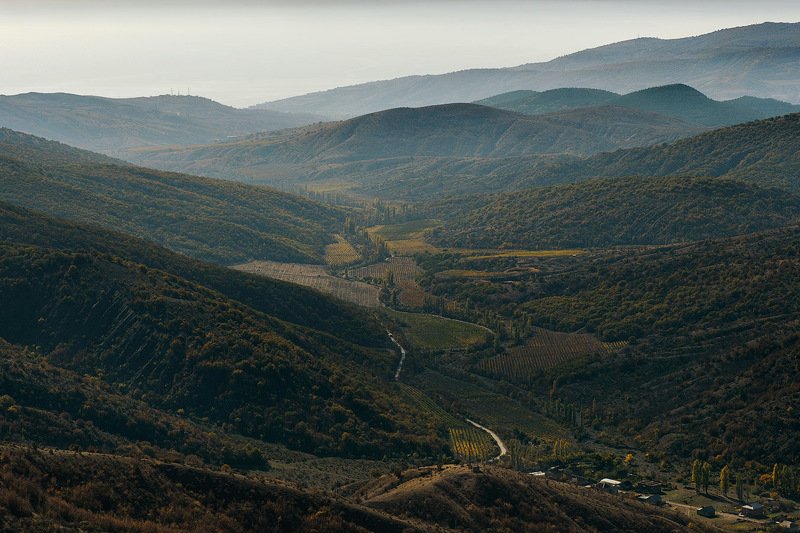 _ фото превью