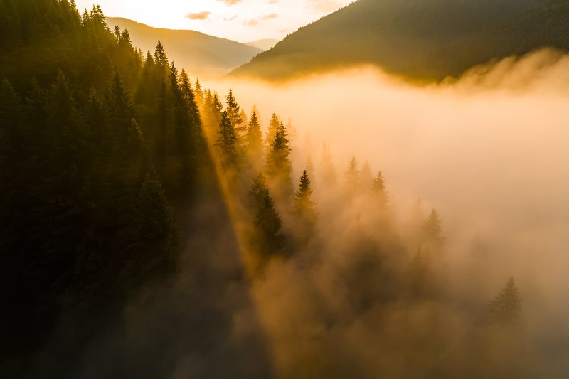 карпаты, туман, рассвет Над туманами фото превью