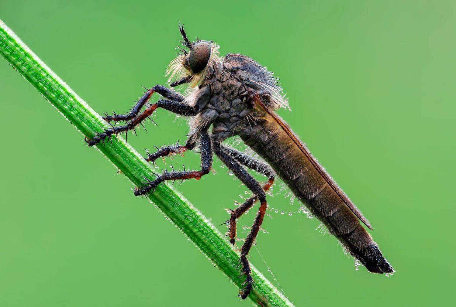 , Сергей Брагин