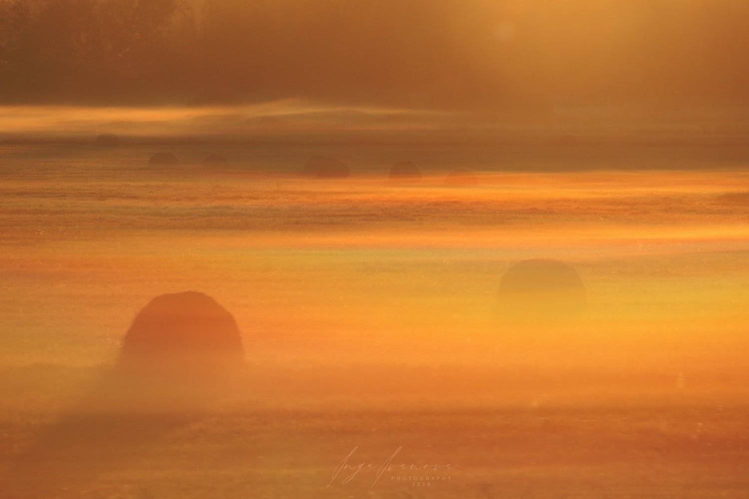 , Инга Иванова