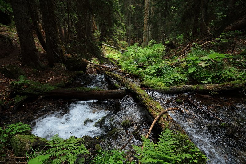 тебердинский, заповедник, кчр, карачаево, черкессия, домбай  фото превью