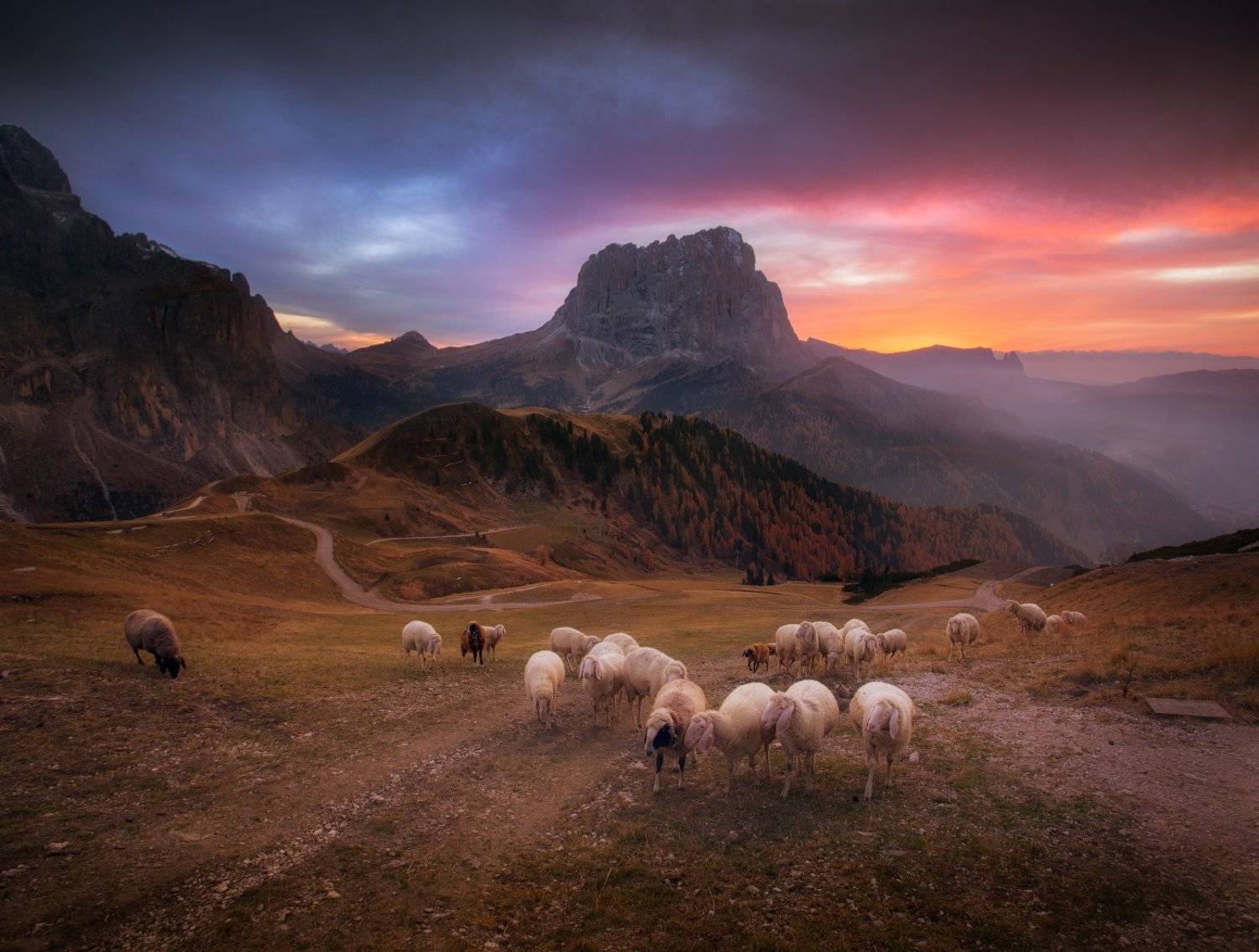 Вечер, горы, италия, закат, овцы, стадо, небо, облака, Cтанислав Малых